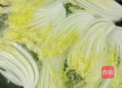 蒜蓉粉丝娃娃菜的做法图解3