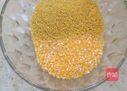 爱心粥(补血 暖宫 养胃）的做法图解1