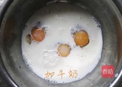 蛋挞的做法图解3