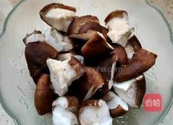 笨鸡炖蘑菇的做法图解6