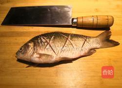 鲫鱼豆腐汤的做法图解8