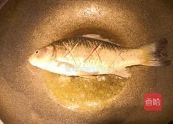 鲫鱼豆腐汤的做法图解10