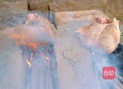 海南正宗椰子饭的做法图解3