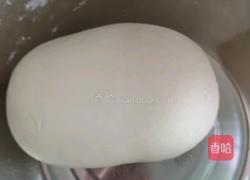 素菜包子的做法图解1