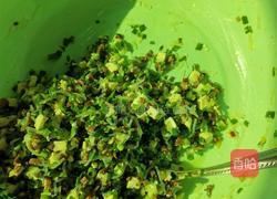 素菜包子的做法图解2