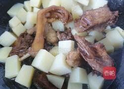土豆炖鸭肉的做法图解7