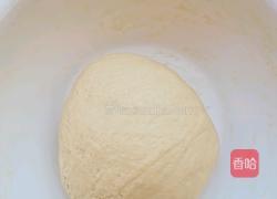 鸡肉汉堡的做法图解3