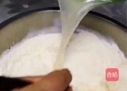 韭菜鸡蛋馅饺子的做法图解4