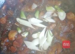家庭红烧肉的做法图解9