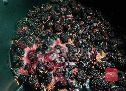 桑葚果酱的做法图解4