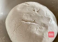 汤圆的做法图解2