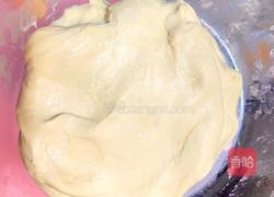 清真牛肉馅饼的做法图解5