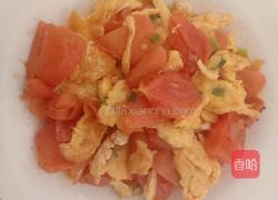 番茄炒鸡蛋的做法图解8