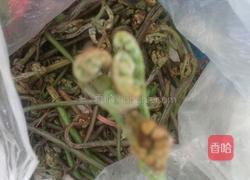 蕨菜炒腊肉的做法图解1