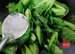 油菜炒虾仁的做法图解9