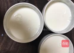 双皮奶的做法图解6
