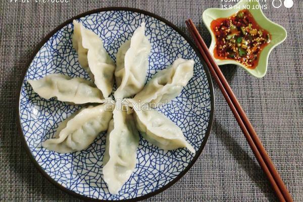 韭菜虾仁鲜肉饺