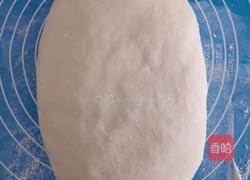 韭菜虾仁鲜肉饺的做法图解1