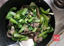 平菇油菜的做法图解3
