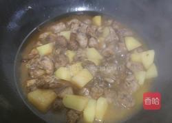 土豆炖鸡脖的做法图解5