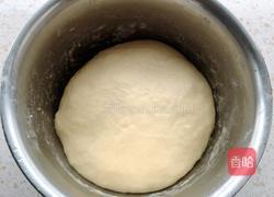 蜂蜜小餐包的做法图解4