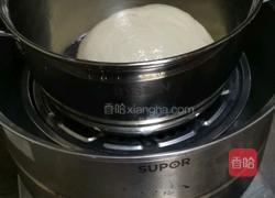 醒发面的做法图解8