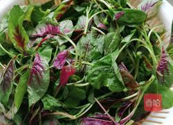 蒜末红苋菜的做法图解2