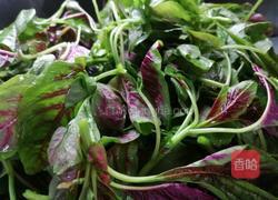 蒜末红苋菜的做法图解4