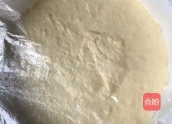 简单又健康营养的小米面发糕的做法图解5
