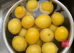 柠檬川贝止咳膏的做法图解1