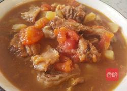 西红柿炖牛腩的做法图解12