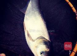 红烧鱼块的做法图解1