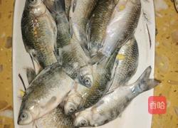 麻辣水煮鲫鱼豆花(开江菜)的做法图解4