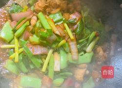 小炒鸡的做法图解6