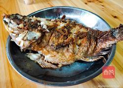 红烧罗非鱼的做法图解4