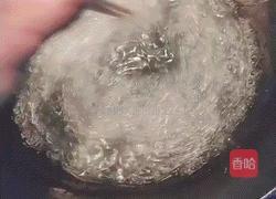 芙蓉粉丝扇贝的做法图解1