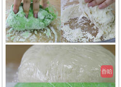 百菜不如白菜，白菜又名百财！做一盘翠绿欲滴的翡翠白菜饺吧！的做法图解6