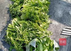梅干菜的做法图解1