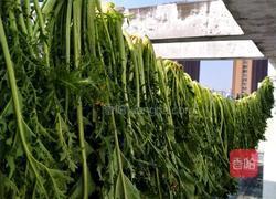 梅干菜的做法图解2