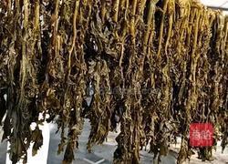 梅干菜的做法图解6
