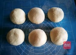 蔓越莓牛奶吐司的做法图解9