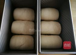 蔓越莓牛奶吐司的做法图解12