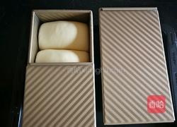 蔓越莓牛奶吐司的做法图解14