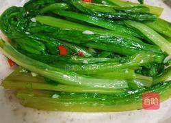 超级快速3分钟出锅蒜蓉油麦菜的做法图解6