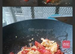 番茄鸡蛋面的做法图解4