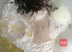 直接发酵巧克力椰蓉土司的做法图解2