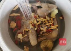花旗参炖乳鸽汤的做法图解4