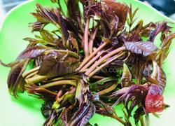 春芽鹅蛋 春天的菜谱的做法图解1