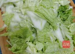 清炒白菜的做法图解1