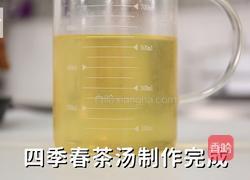 四季春茶汤的做法（松鼠茶茶奶茶教程）的做法图解8